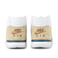 Air Trainer 1