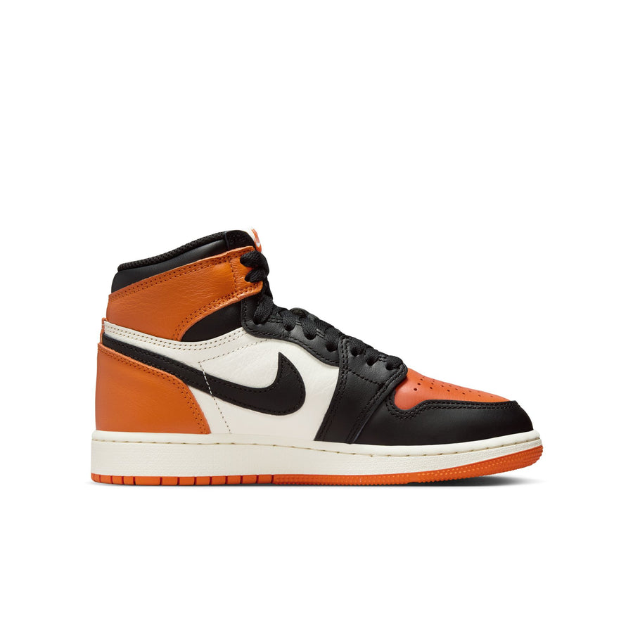 Air Jordan 1 Retro High OG (GS) "Shattered Backboard"