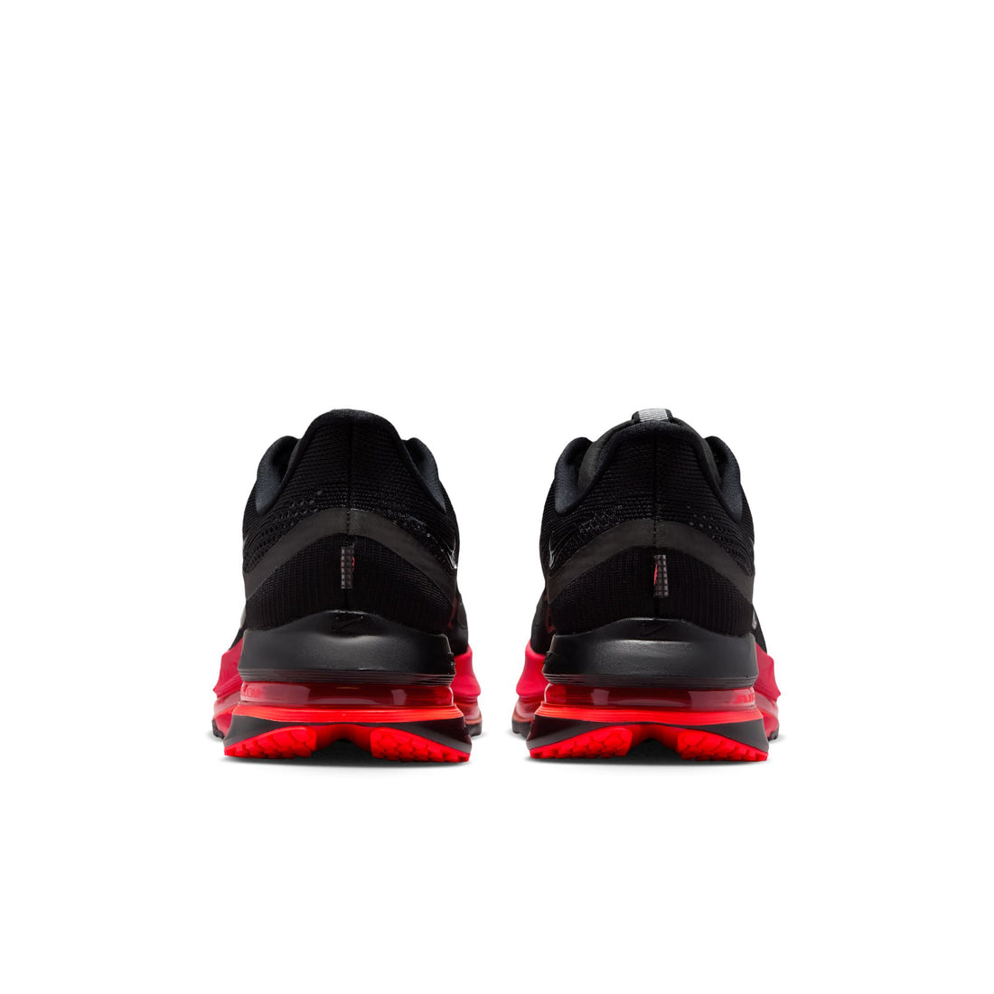 Pegasus Premium "Bred"