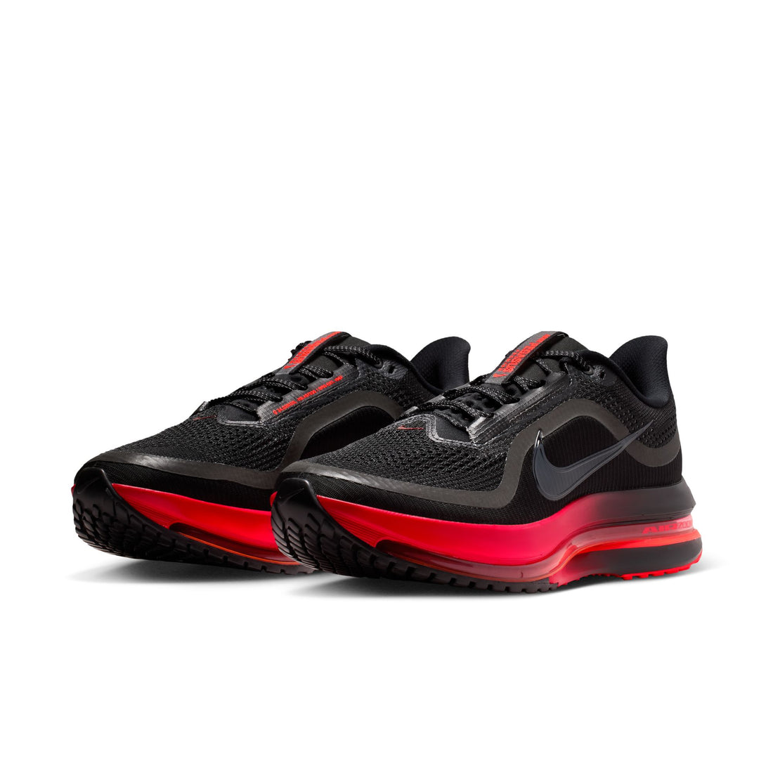 Pegasus Premium "Bred"