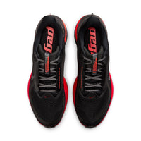 Pegasus Premium "Bred"