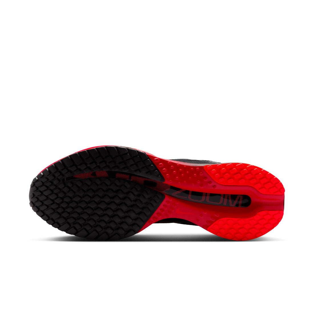 Pegasus Premium "Bred"