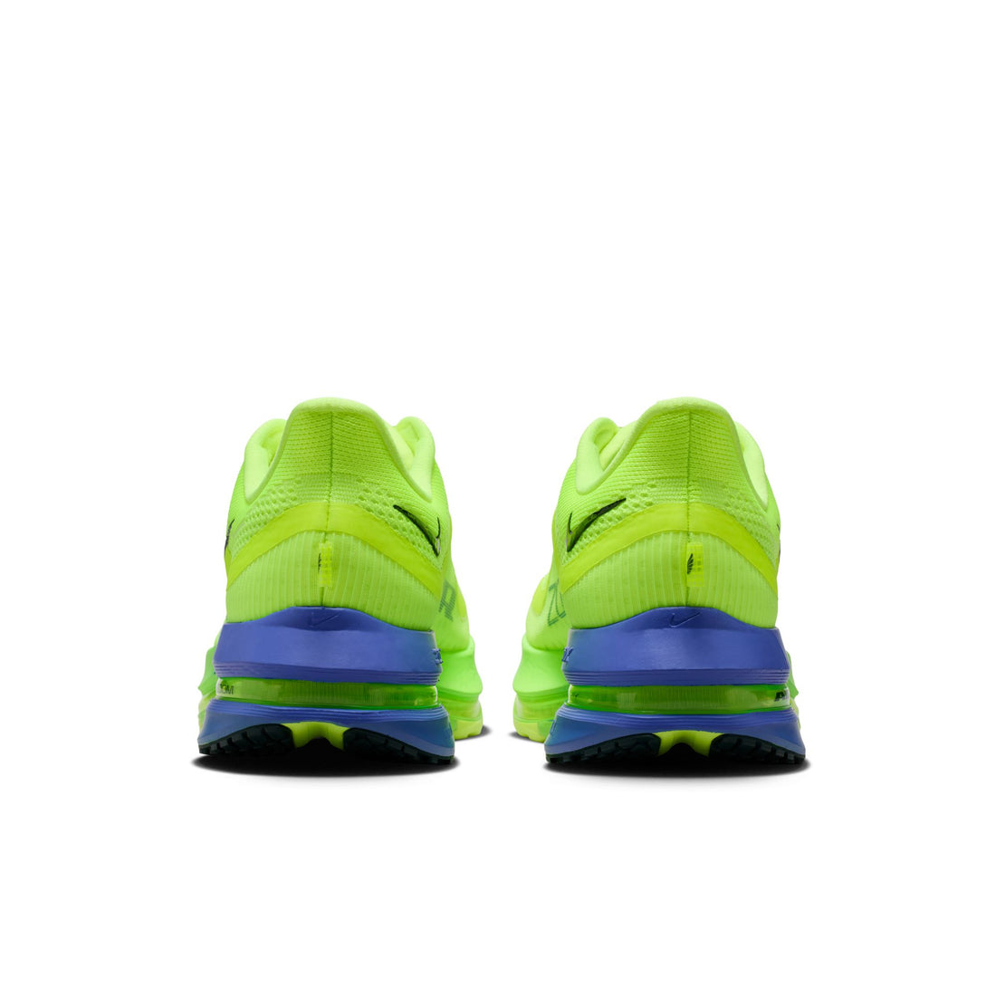 Pegasus Premium "Volt Ice"