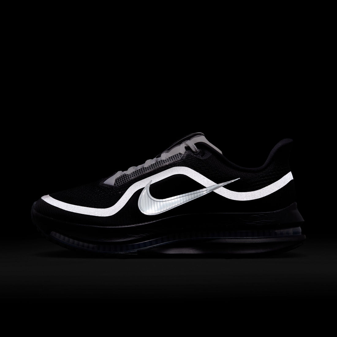 Pegasus Premium SP "No Text"